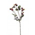 Ветвь шиповника с ягодами от IL FIORE, IF.DEL.SE.5, 1-я фотография мини